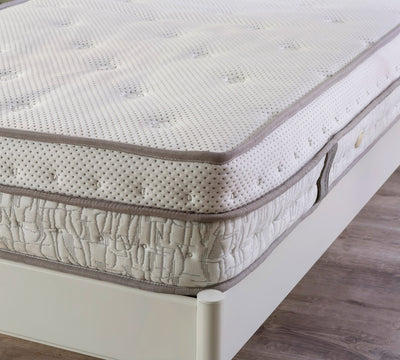 Latexy Young Mattress [120x200x23 Cm]
